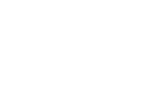 logo-dian